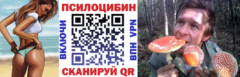 Псилоцибиновые грибы Cubensis Купить где Белореченск